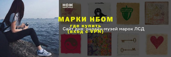 индика Абинск