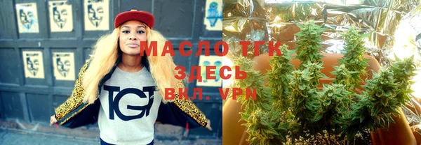 индика Абинск